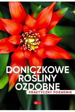 Doniczkowe rośliny ozdobne. Poradnik praktyczny