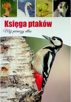 KSIĘGA PTAKÓW MÓJ PIERWSZY ATLAS