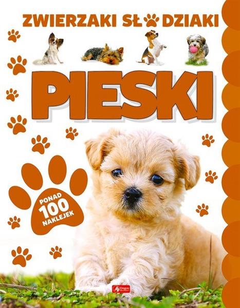 PIESKI. PONAD 100 NAKLEJEK