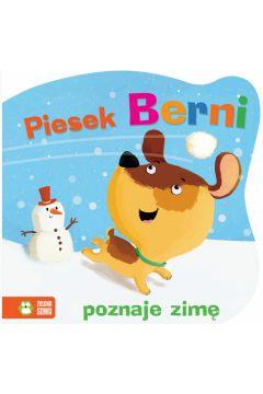 SZTYWNIAKI PIESEK BERNI