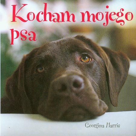 KOCHAM MOJEGO PSA