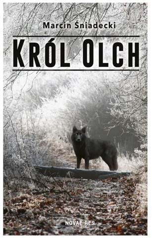 KRÓL OLCH