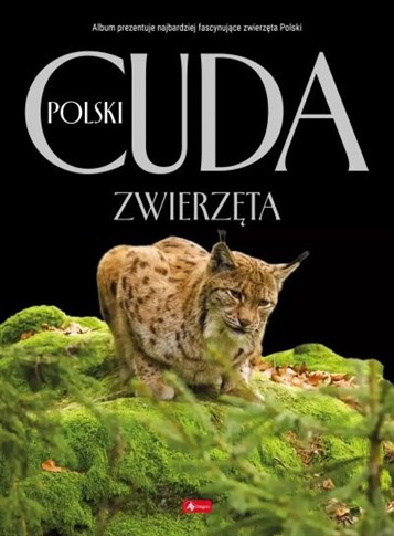 CUDA POLSKI. ZWIERZĘTA