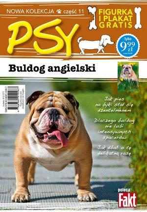 Buldog angielski. Kolekcja Psy. Część 11