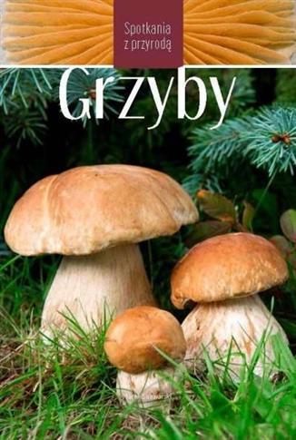 Grzyby. Spotkania z przyrodą