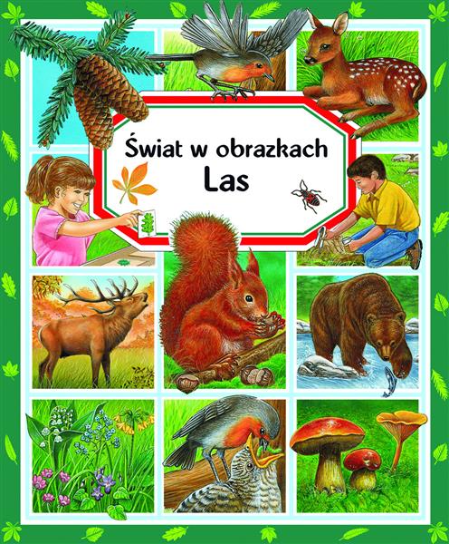 ŚWIAT W OBRAZKACH. LAS