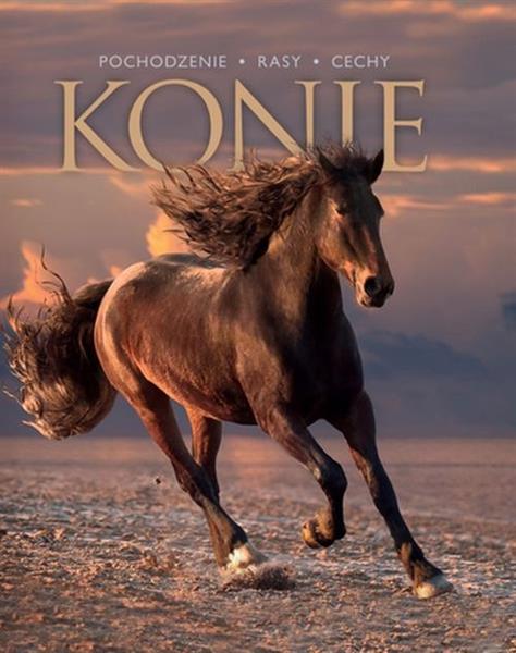 KONIE. POCHODZENIE, RASY, CECHY