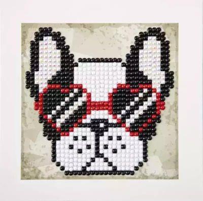 DIAMOND DOTZ COOL SUNNIES QUICK DOTZ DTZ5001