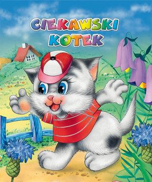 Ciekawski kotek