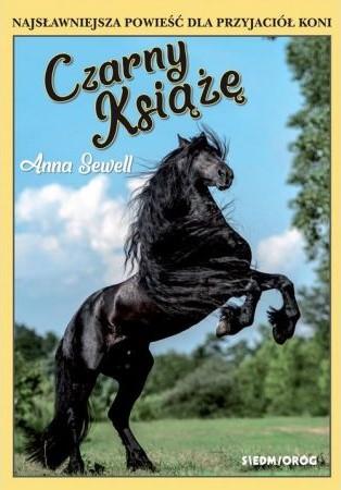 CZARNY KSIĄŻĘ