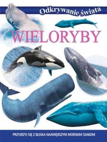 Wieloryby. Odkrywanie świata