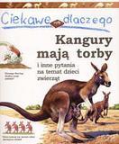 CIEKAWE DLACZEGO KANGURY MAJĄ TORBY