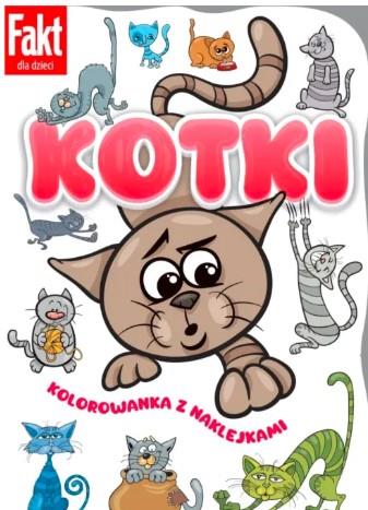 KOTKI
