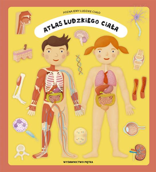 ATLAS LUDZKIEGO CIAŁA